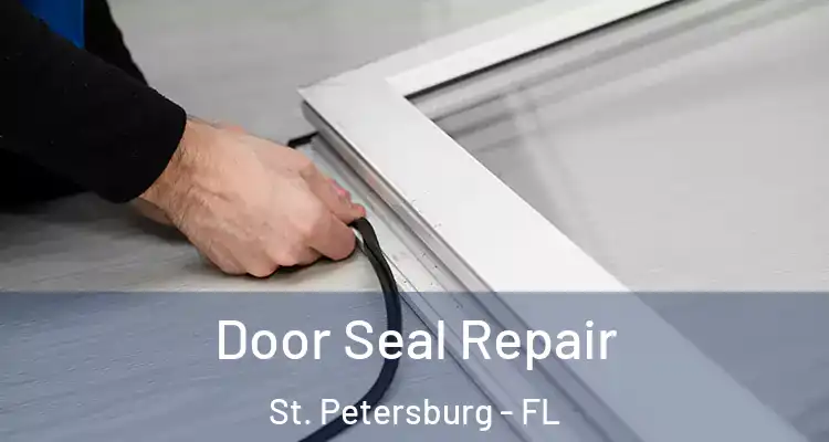 Door Seal Repair St. Petersburg - FL