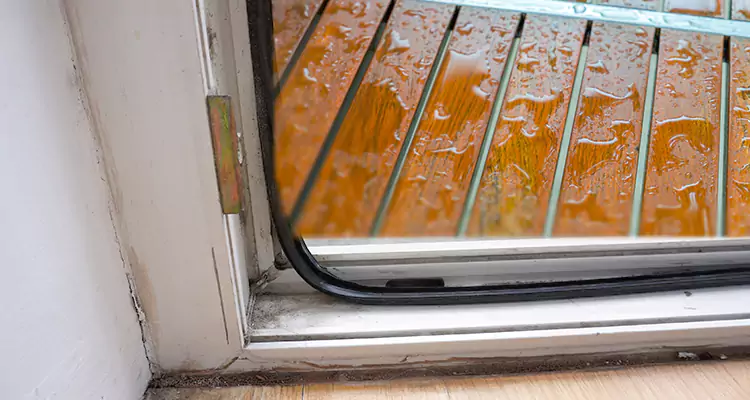 Water Leaking Wooden Patio Doors Repair in St. Petersburg, FL