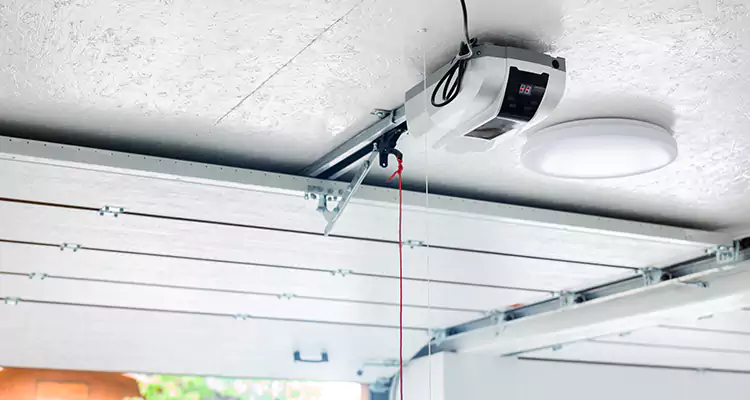 LiftMaster Garage Door Repair in St. Petersburg, FL