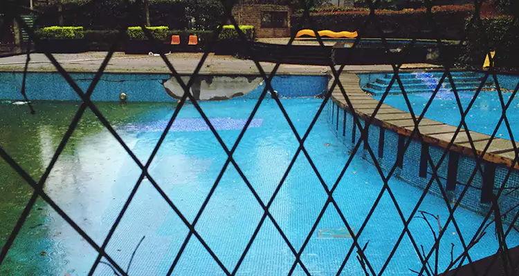 Lanai Screen Repair in St. Petersburg, FL