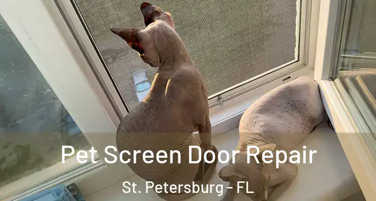 Pet Screen Door Repair St. Petersburg - FL