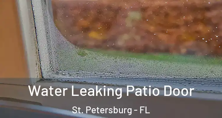 Water Leaking Patio Door St. Petersburg - FL